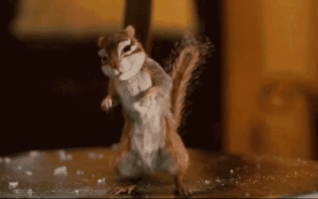 a chipmunk is standing on its hind legs on a table and looking at the camera .