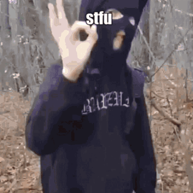 a person wearing a purple mask and a hoodie that says ' stfu ' on it
