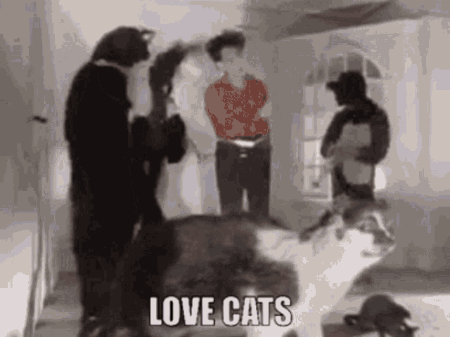 Love Cats The Cure GIF - Love Cats The Cure Missed You GIFs