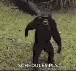 a chimpanzee is dancing in a field with the words `` schedules pls '' written on the bottom .
