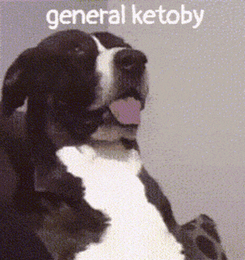 a black and white dog with its tongue hanging out and the words general ketoby below it