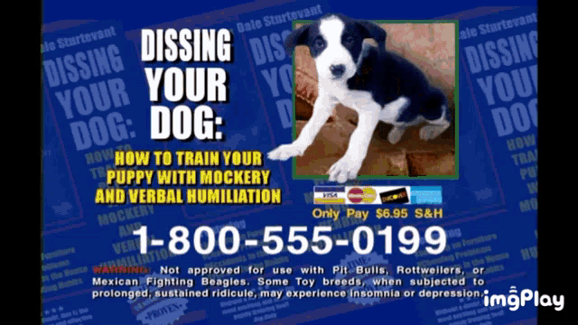 Dissing Your Dog Snl GIF - Dissing Your Dog Snl Willnferrell GIFs