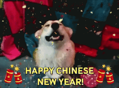 Corgi Chinese New Year GIF - Tahun Baru Imlek Selamat Tahun Baru Imlek Imlek GIFs