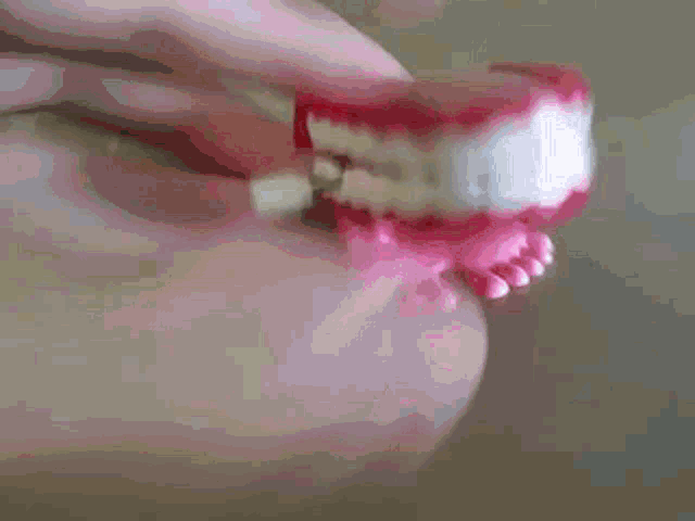 Teeth Toy GIF - Teeth Toy Clacking Teeth GIFs