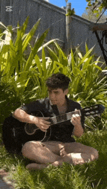 a man sitting in the grass playing a guitar with a bbc logo in the background