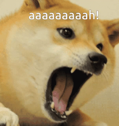 Meme Doge GIF