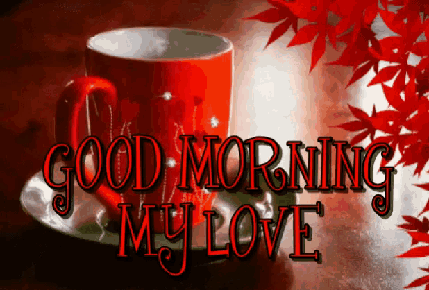 a cup of coffee on a saucer with the words " good morning my love " on it