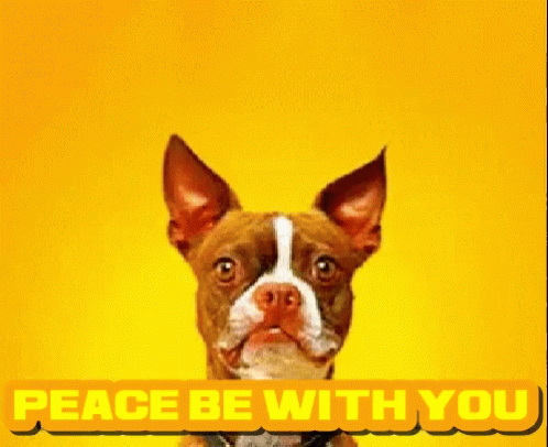 Peace Be With You And Also With You GIF - Peace Be With You And Also With You Peace GIFs