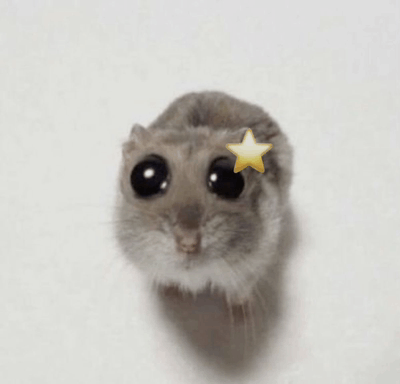 You Are My Star Star Mouse GIF - You Are My Star Star Star Mouse GIFs