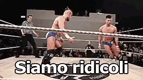 two men are wrestling in a ring and the words siamo ridicoli are visible