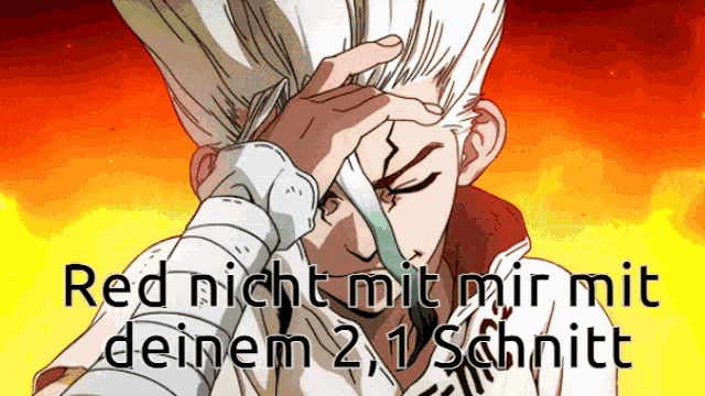 a cartoon of a man covering his face with his hand and the words red nicht mit mir mit deinen 2.1 schnitt
