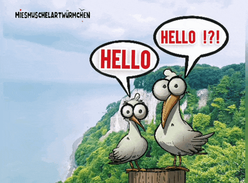 a cartoon of two seagulls saying hello and hello