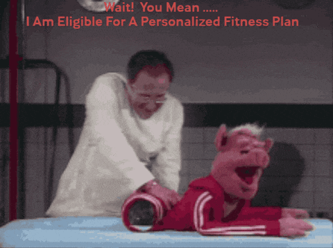 a cartoon of a pig laying on a bed with the words " wait you mean "