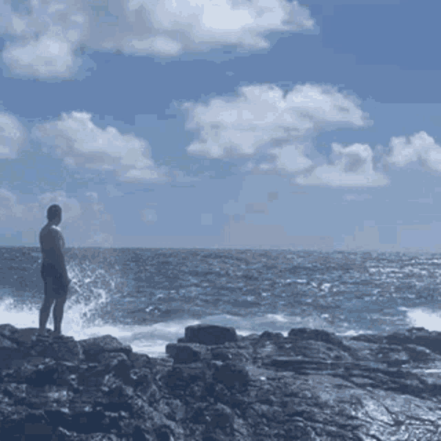 a man is standing on a rocky shoreline looking out over the ocean