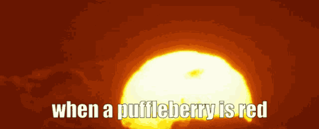 a picture of the sun with the words " when a puffleberry is red "