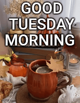 Tuesday Morning GIF - Tuesday Morning GIFs