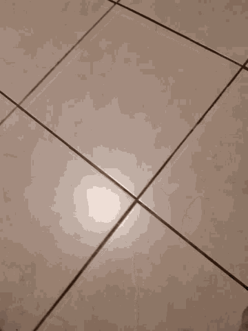 a close up of a tiled floor with a shadow on it