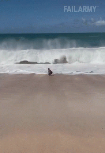 Caught By A Big Wave Failarmy GIF - Caught By A Big Wave Failarmy Washed Away GIFs