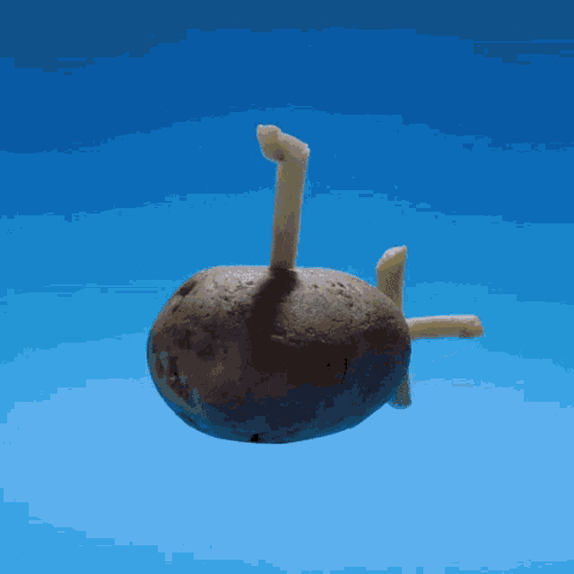 Submarine French Fries GIF - Submarine French Fries Stop Motion GIFs