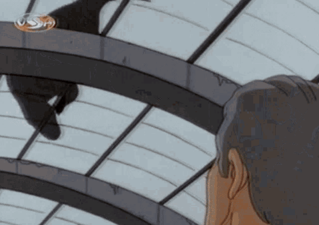 a cartoon of a man standing on a roof with a usf logo on the bottom right
