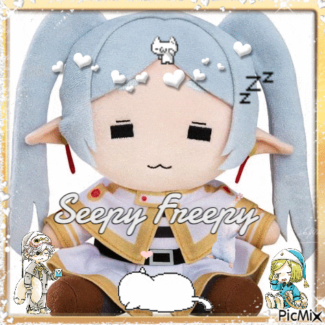 a picture of a stuffed doll with the words seepy freepy written on it