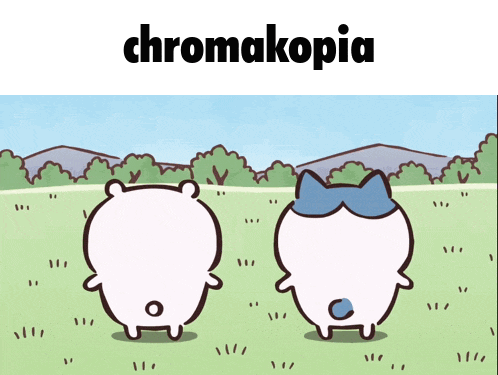 two cartoon characters standing in a grassy field with the word chromakopia on the bottom
