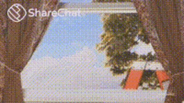दूरबीन विकृत GIF - दूरबीन विकृत खिड़की GIFs