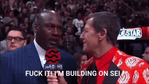 a man talking into a microphone with the words fuck it i 'm building on sei below him