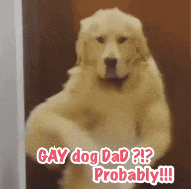 a picture of a dog with the words gay dog dad probably on it