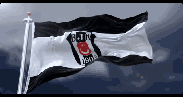 Beşiktaş Flag GIF - Beşiktaş Flag Wave GIFs
