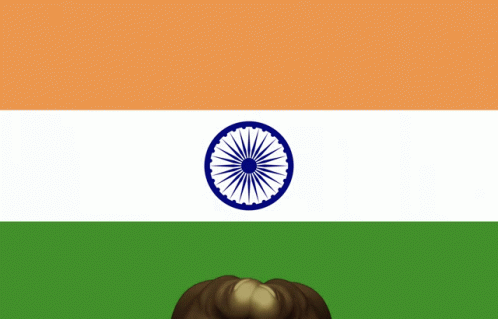 Independence Independence Day GIF - Independence Independence Day India GIFs
