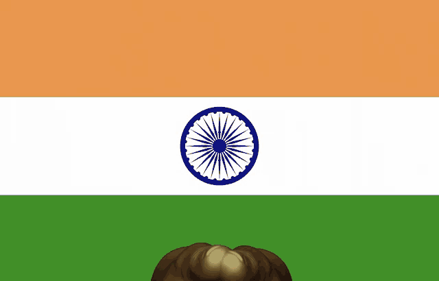 a flag of india with a blue and white circle in the middle