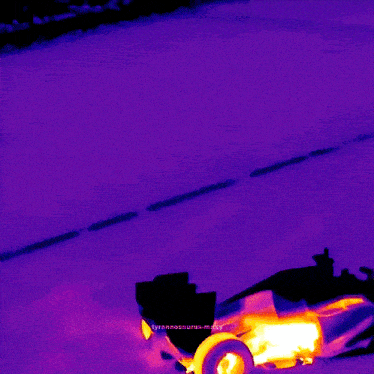 a purple background with a picture of a race car and the words tyranpeterson-maxy on the bottom