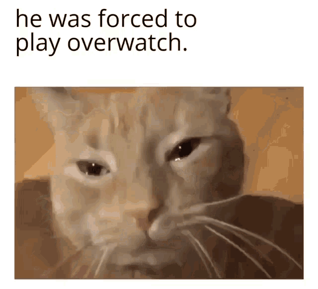 He Was Forced To Play Overwatch GIF - He Was Forced To Play Overwatch GIFs