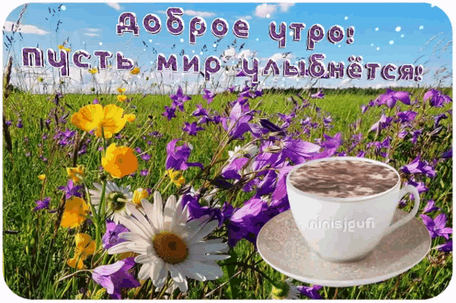 a cup of coffee sits on a saucer in front of a field of purple and yellow flowers