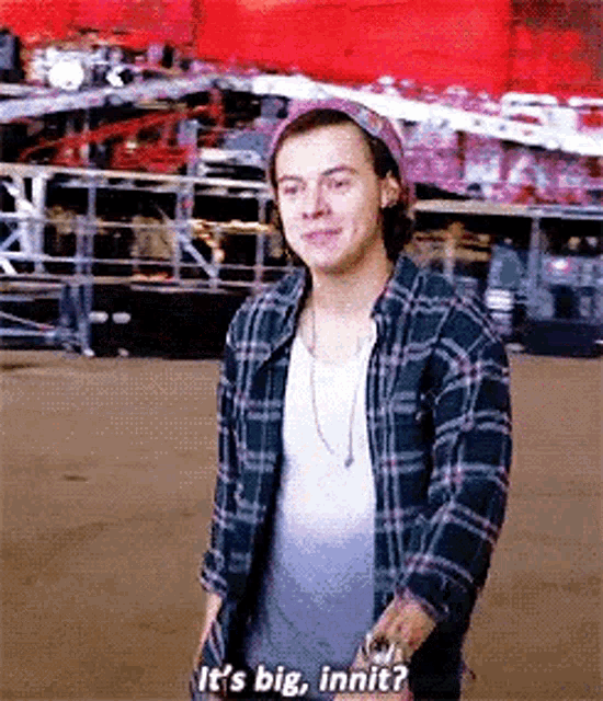 Harry Styles GIF - Harry Styles Its GIFs