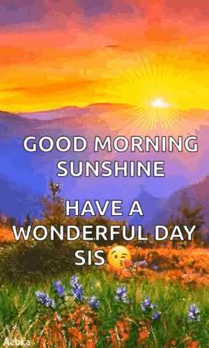 it is a good morning sunshine have a wonderful day sis .