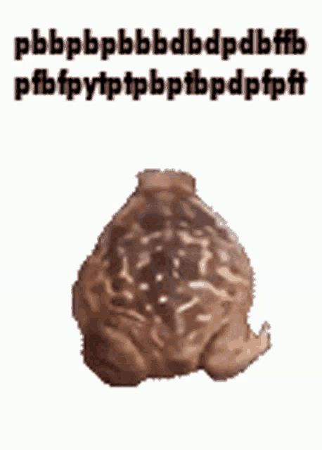 Frog Froggy GIF