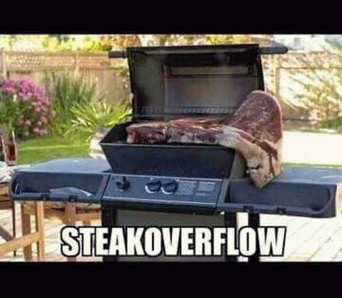 Steakoverflow GIF - Steakoverflow GIFs