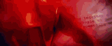 a close up of a person 's face with a green background and a red and green background .