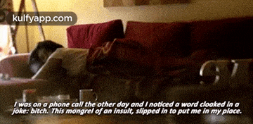 a picture of a dog laying on a couch with a caption that says i was on a phone call