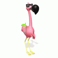 Flamingo Drinking GIF - Flamingo Drinking Lemonade GIFs