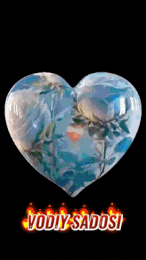 a heart with flowers inside of it and the words vodiy sadosi below it