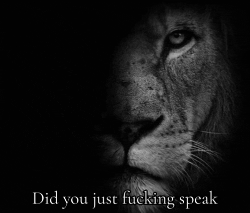 a black and white photo of a lion with the words did you just fucking speak