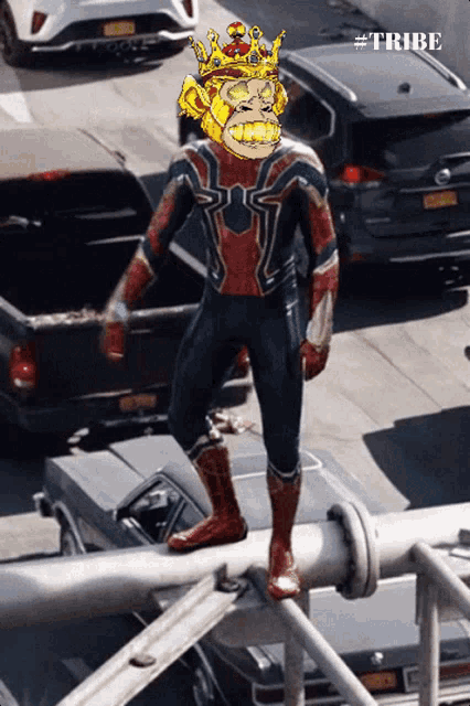 a picture of a man in a spiderman costume with a crown on his head