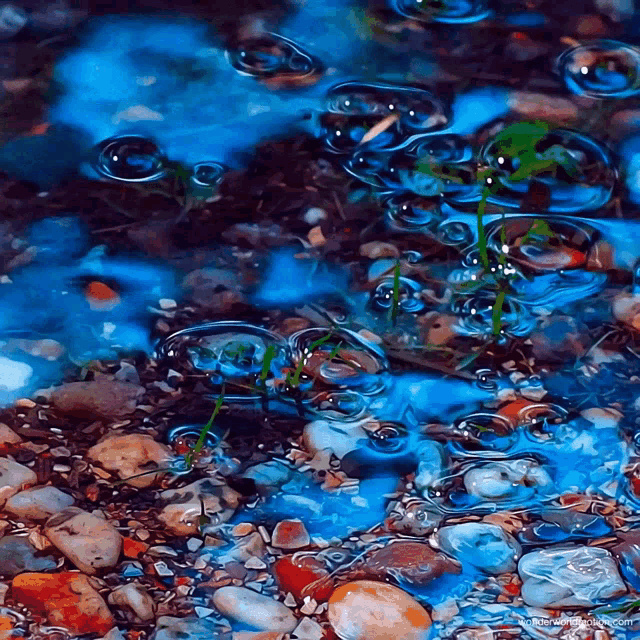 a painting of rain drops falling on a rocky shoreline