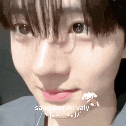 a close up of a person 's face with the words sangwon de valy written on it