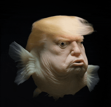 a fish that looks like donald trump with a wig on