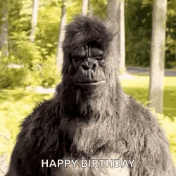 a gorilla in a costume is standing in the woods and says `` happy birthday '' .