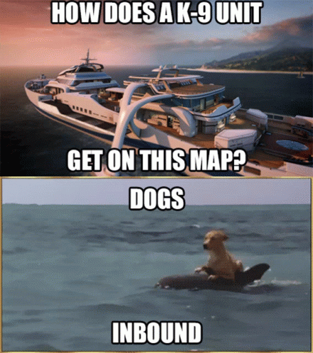 How Does Ak9unit Get On This Map Dogs Inbound GIF - How Does Ak9unit Get On This Map Dogs Inbound Call Of Duty GIFs
